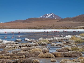 4-Day Uyuni Salt Flat Tour from San Pedro de Atacama