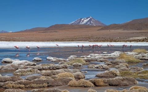 4-Day Uyuni Salt Flat Tour from San Pedro de Atacama