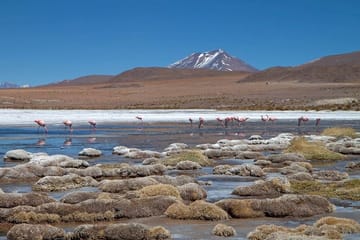 4-Day Uyuni Salt Flat Tour from San Pedro de Atacama