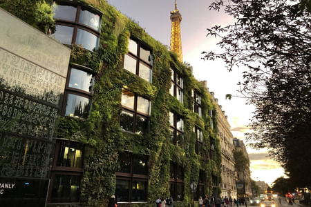 Discovering Quai Branly’s Cultural Wonders