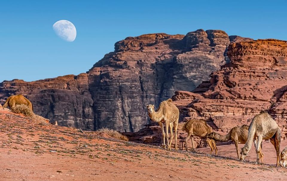 2 Days Jordan Private Tour: Petra, Wadi Rum, and Dead Sea from Amman