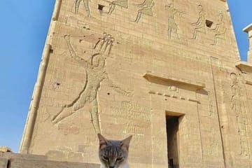 Private Cultural Tour of Abu Simbel from Aswan