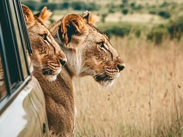 Exclusive Big Five Safari with Wine Tasting & Lunch