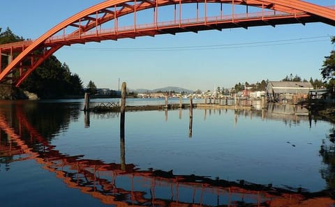 Tulip Festival Tour in Skagit Valley with La Conner and Oak Harbor