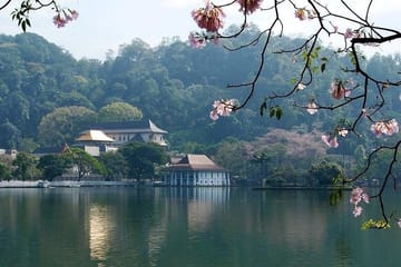 Kandy City Tour Experience from Kandy