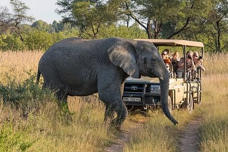 Sunset Safari Big 5 Aquila with Snacks and Wine Tasting