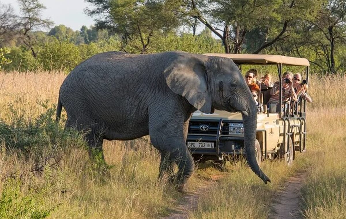 Sunset Safari Big 5 Aquila with Snacks and Wine Tasting