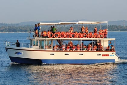 Mirissa Whale Watching Tour From Koggala