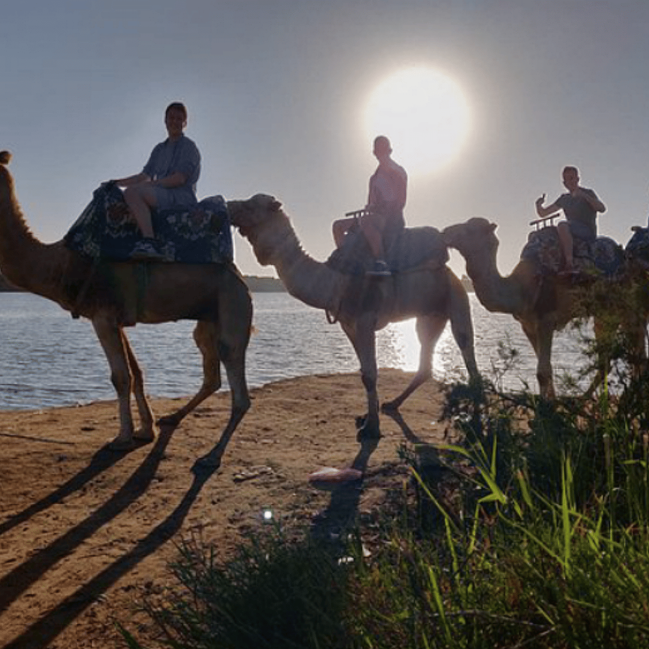 Agadir Camel Ride with Delicious Couscous & Barbecue