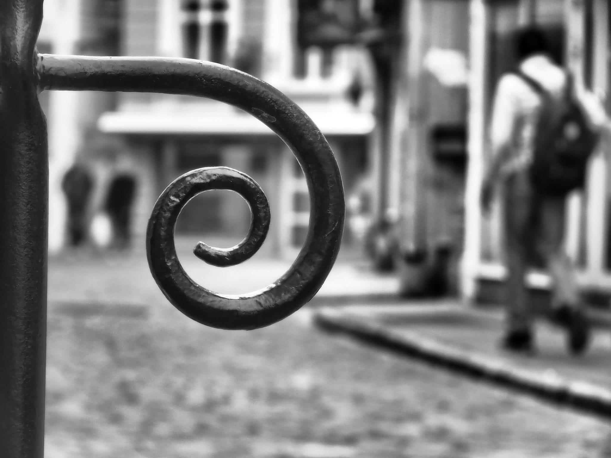 Photography begins with noticing — even the smallest details can become powerful images.