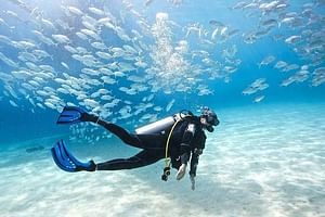 Scuba Diving Full Day Boat Trip for beginners With Lunch & Transfer – Hurghada 