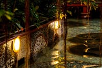 AUTHENTIC VIETNAMESE DINNER AND WATER PUPPET SHOW 8