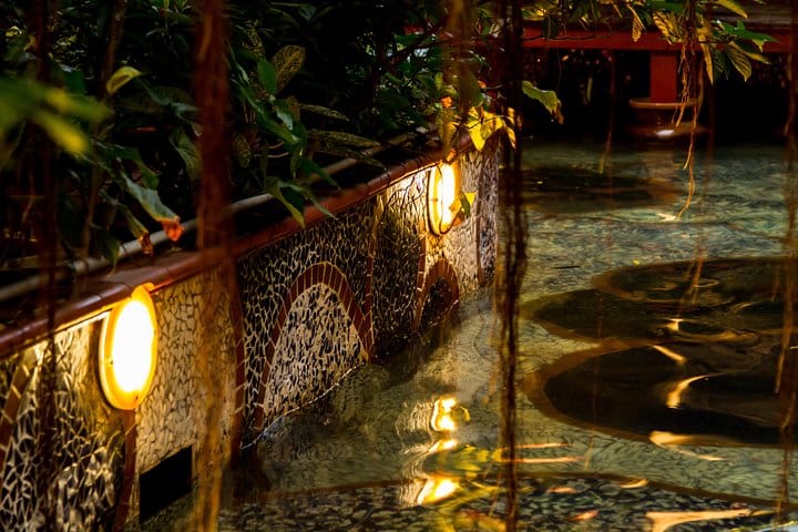 AUTHENTIC VIETNAMESE DINNER AND WATER PUPPET SHOW 8