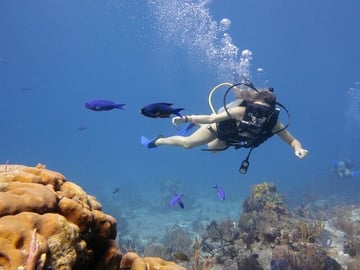 Full Day Scuba Diving in Hurghada