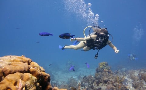 Full Day Scuba Diving in Hurghada