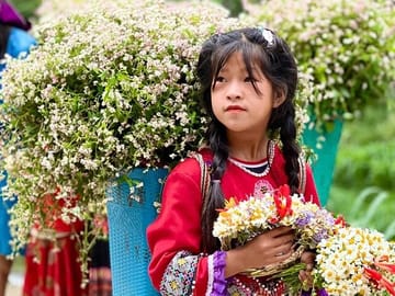 From Hanoi City: Private Ha Giang 3 days 2 night tour