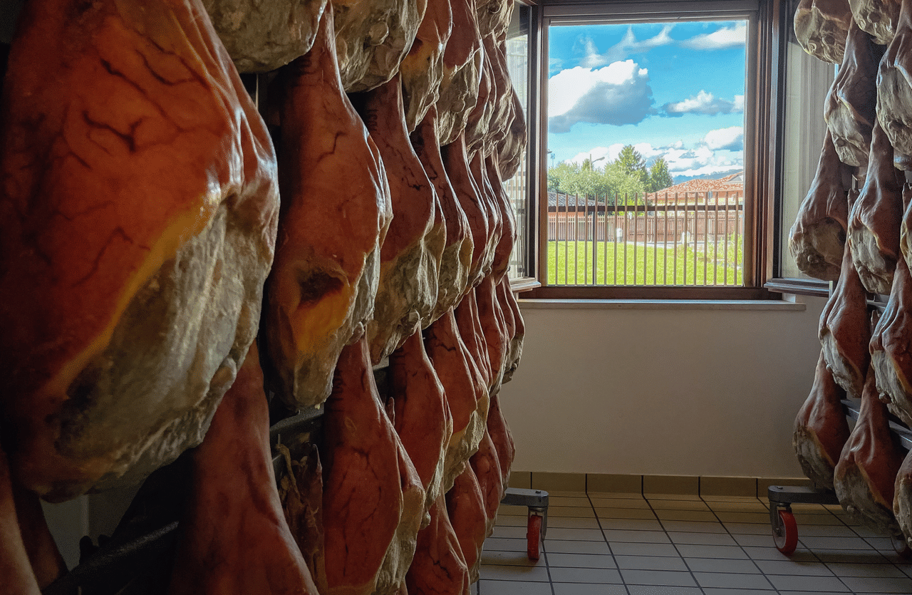 Prosciutto Ham Factory Visit & Lunch Tasting near Udine 4