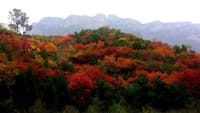 Hike on the Great Wall Day Tour