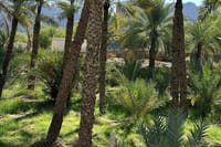 Heritage Village Falaj system