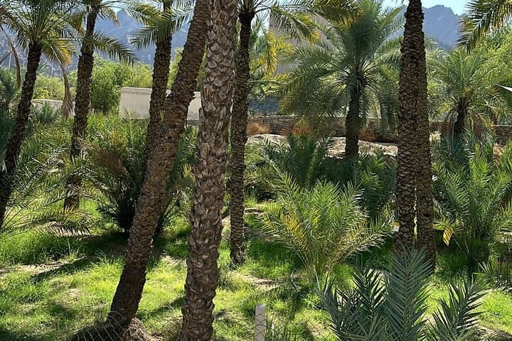 Heritage Village Falaj system