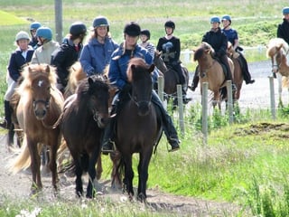 02G - Icelandic Diversity , photo 7