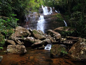 Sinharaja Rain Forest Day Tour from Udawalawa