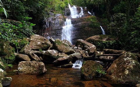 Sinharaja Rain Forest Day Tour from Udawalawa