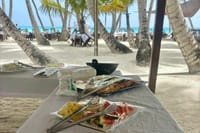 Saona Island Full Day Tour with Buffet Lunch, Paella, & Open Bar 2