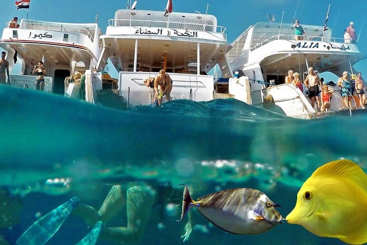 Marsa-Alam Snorkeling day trip Nefertari Cruise