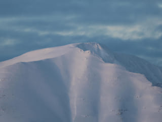 Akureyri Classic Whale Watching, photo 16