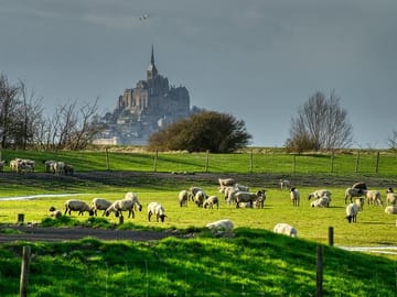 Private 2-Hour Walking Tour of Mont Saint Michel