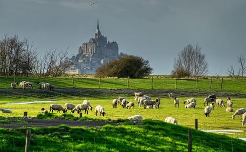 Private 2-Hour Walking Tour of Mont Saint Michel
