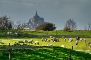 Private 2-Hour Walking Tour of Mont Saint Michel
