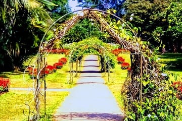 Private 2-Day Tour of Kandy, Nuwara Eliya, and Hingula