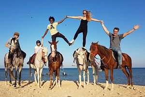 Horse Riding Two hours At Amazing Desert with transfer - Marsa Alam