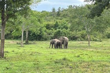 Private Day Trip to Kui Buri from Hua Hin