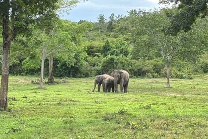 Private Day Trip to Kui Buri from Hua Hin