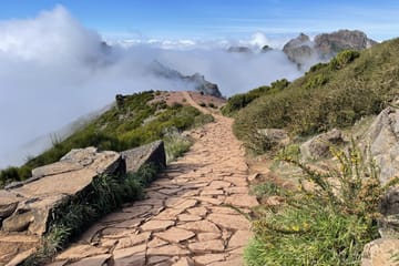Hiking Transfer from Pico do Areeiro to Achada do Teixeira