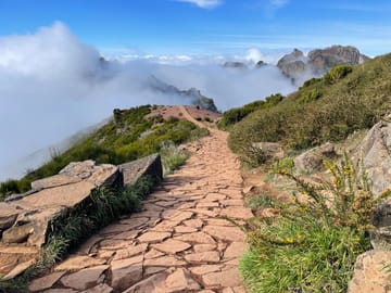 PR6 + PR6.1. 25 Fontes & Risco Levada Hiking Transfer