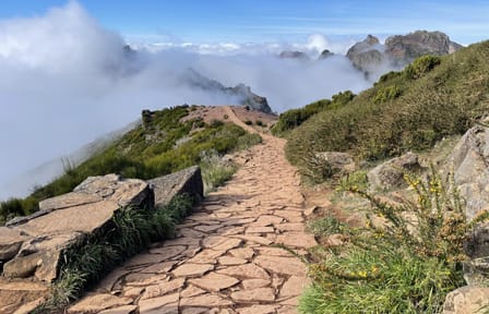 Hiking Transfer from Pico do Areeiro to Achada do Teixeira