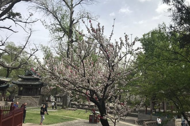 Private Day Tour in Taiyuan: Jinci, Mengshan Buddha, Tianlong Mount photo 2