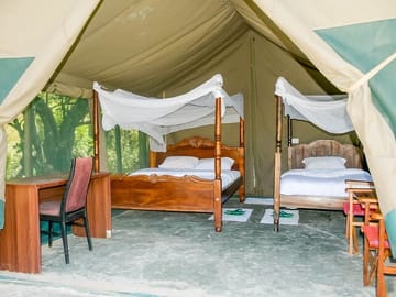 A glimpse of the camp