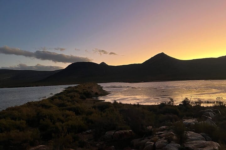 Cape Town Aquila Game Reserve Big 5 Sunset Safari with Transport