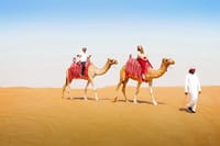 Dubai: Red Dunes Safari with Dune Buggy, Sandboard & Camel 8