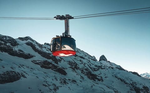 Mt Titlis and Lucerne Day Trip with Guided Tour