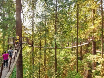 Capilano Suspenshion Park