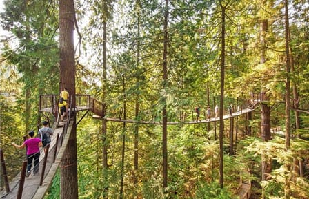 Best of Vancouver Highlights /Suspension Bridge/ Free Pizza Party Tour Private