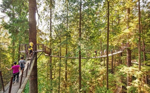 Vancouver Highlights Tour with Capilano Suspension Bridge