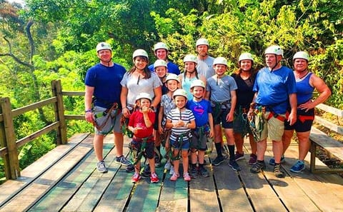 Wildlife Encounter with Sloths and Monkeys in West End