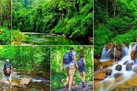 Sinharaja Rain Forest Tour from Udawalawa 1